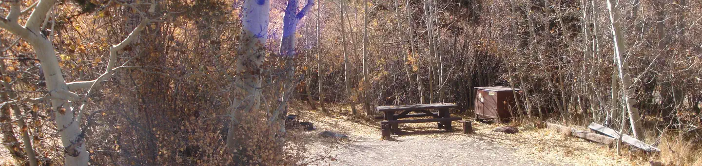 JUNE LAKE photo