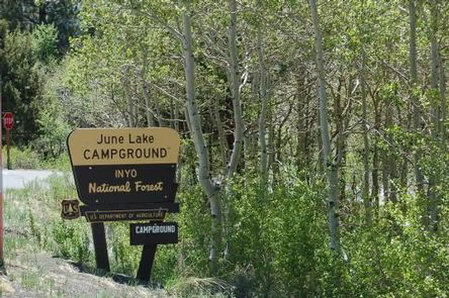 JUNE LAKE photo 2