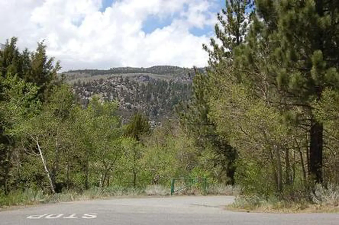 JUNE LAKE photo 3