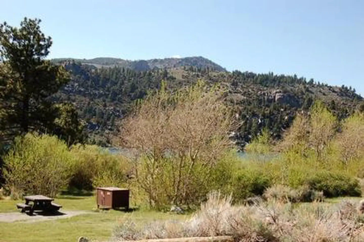 JUNE LAKE photo 4