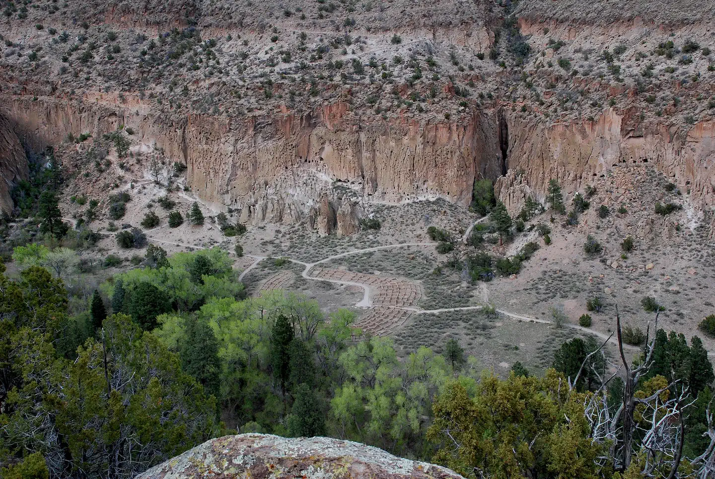 Juniper Campground (NM) photo