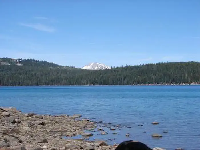 JUNIPER LAKE GROUP photo 3