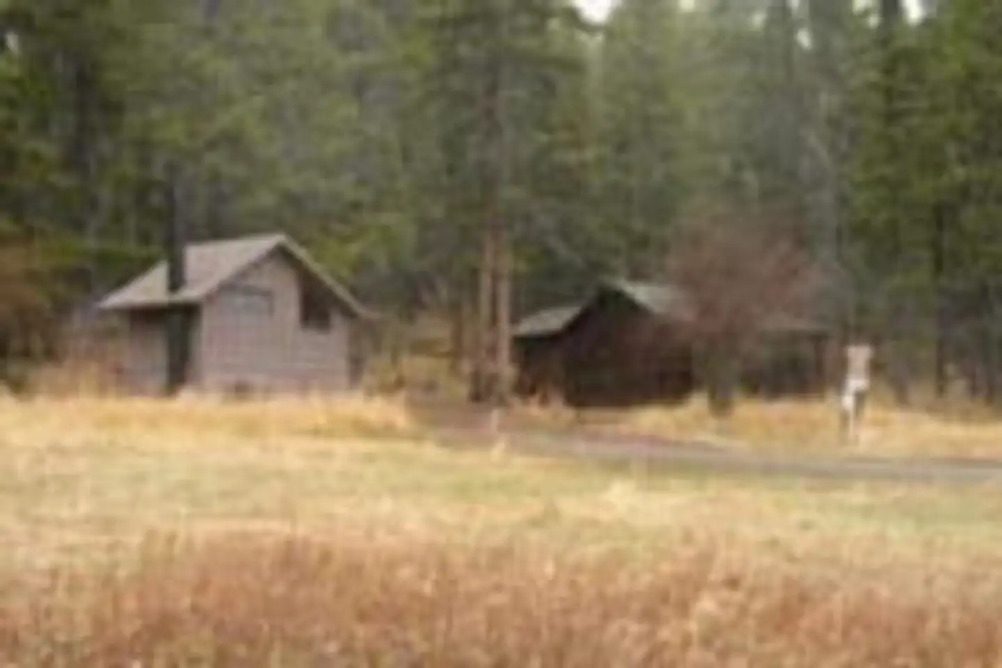 KADING CABIN photo 2