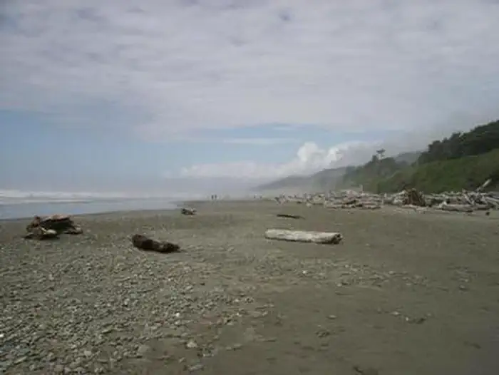 KALALOCH photo 4