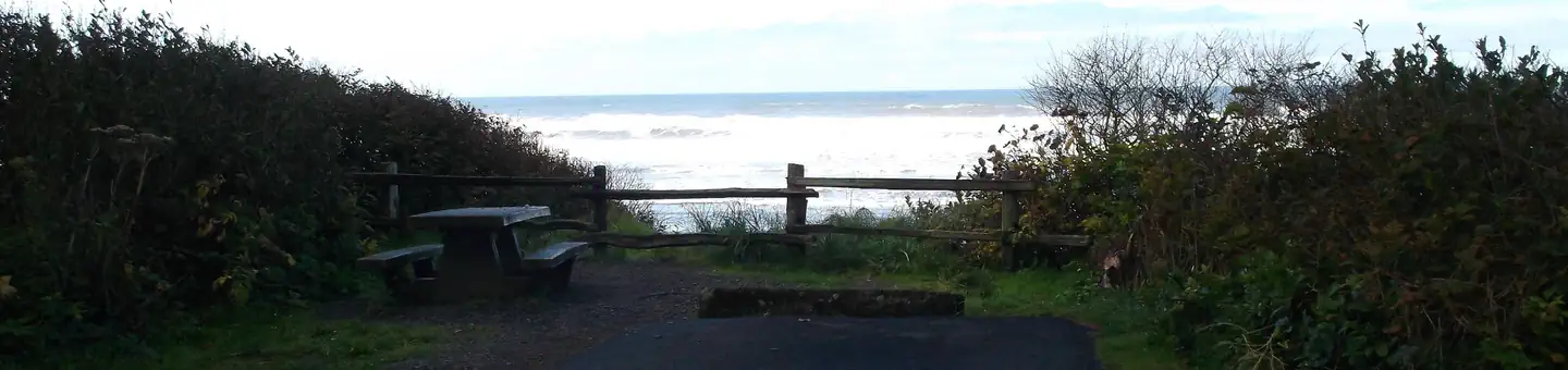 KALALOCH photo 5
