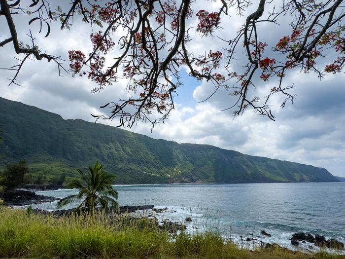 Kalaupapa National Historical Park Tours photo 5