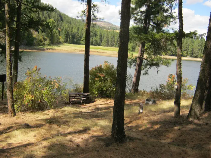 Kamloops Island Campground photo 5