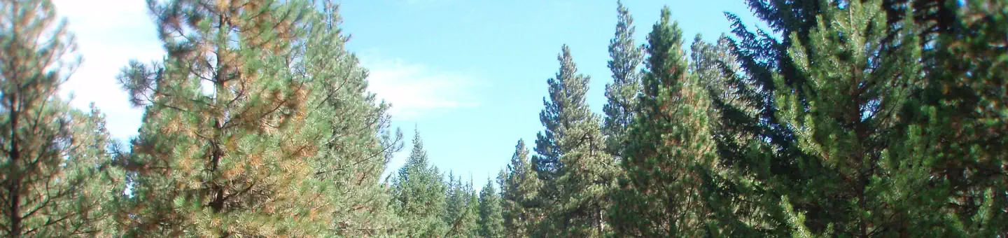 KANER FLAT CAMPGROUND photo