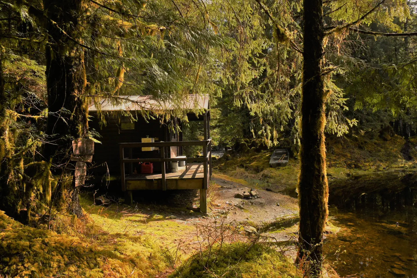 KARTA LAKE CABIN photo 4