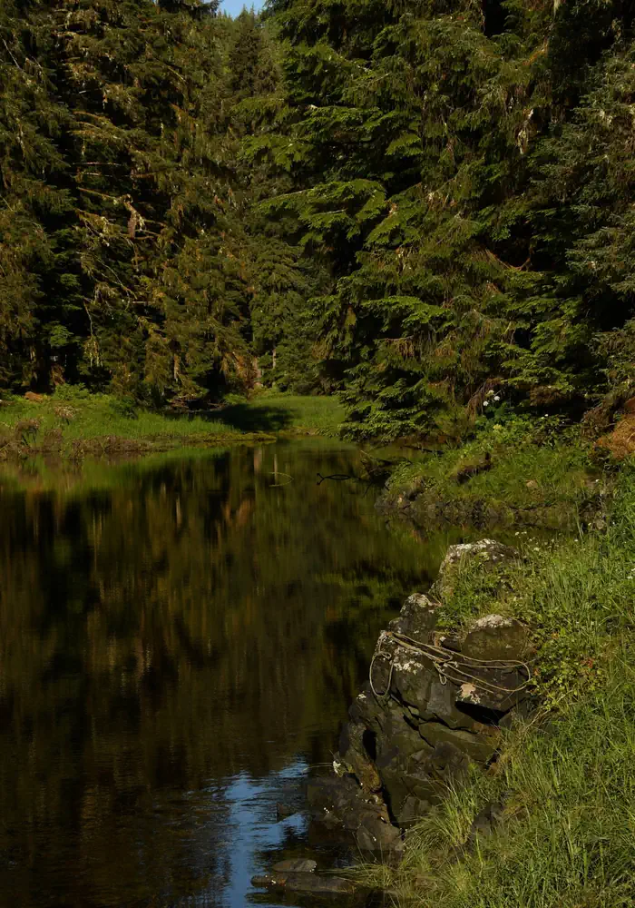 KARTA RIVER CABIN photo 3