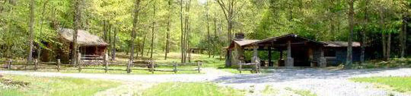 KATY BRANCH photo 3