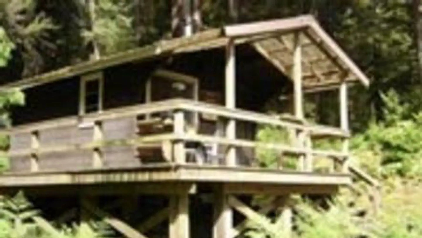 KEGAN CREEK CABIN photo
