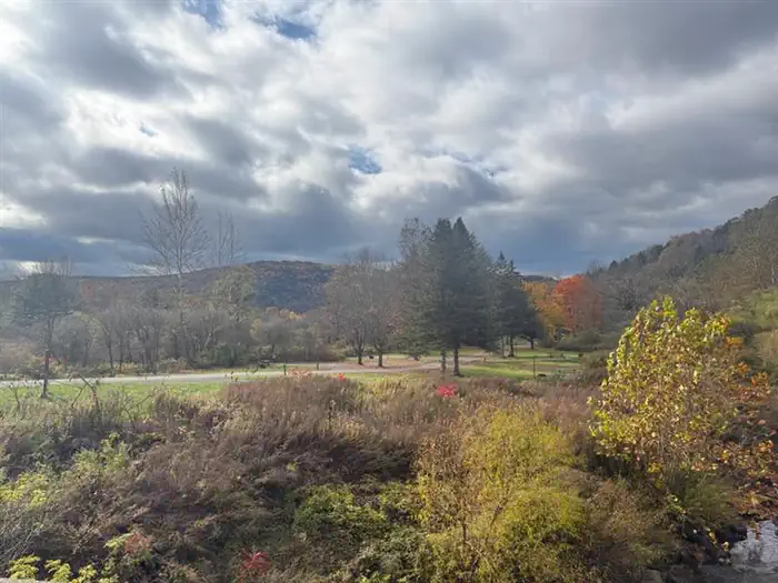 KELLETTVILLE RECREATION AREA (PA) photo 3