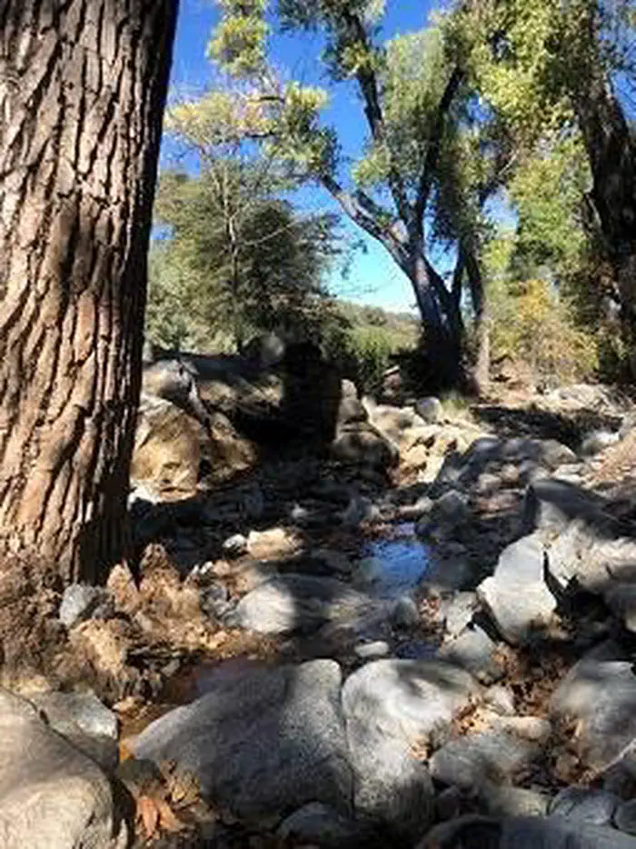 KELLNER GROUP CAMPGROUND photo 4