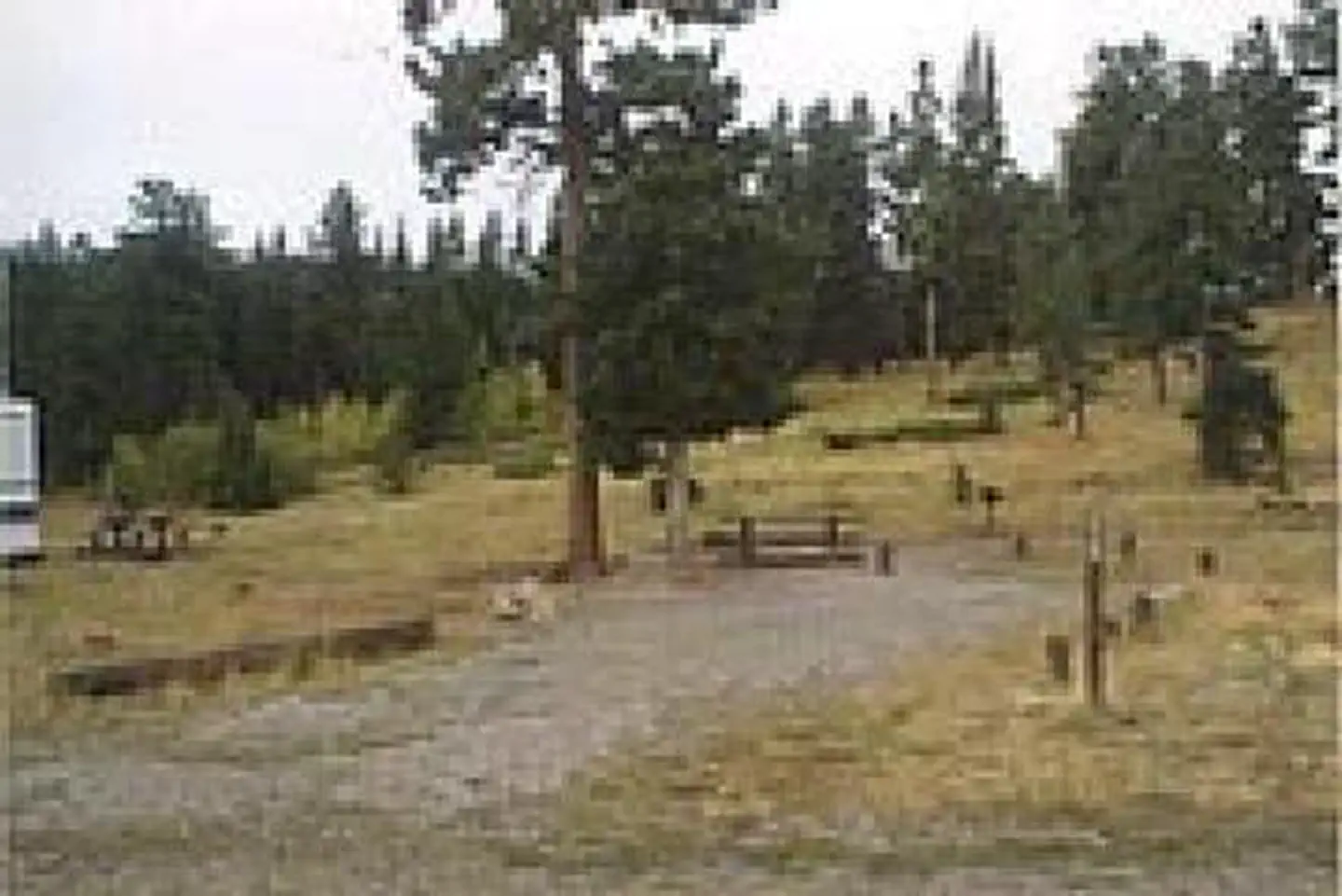 KELLY DAHL photo 3