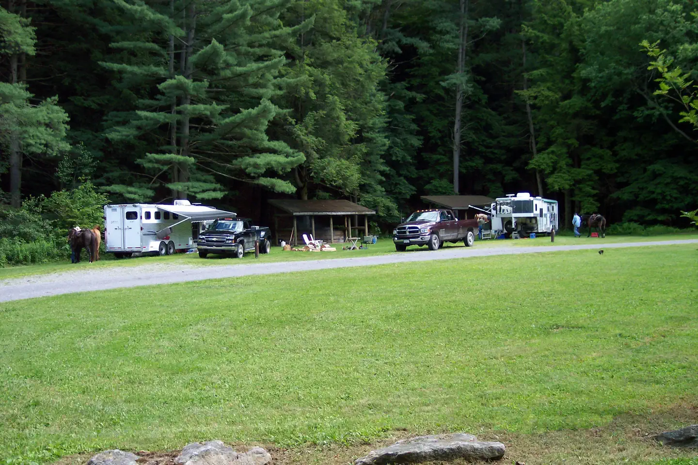 KELLY PINES CAMPGROUND photo 2
