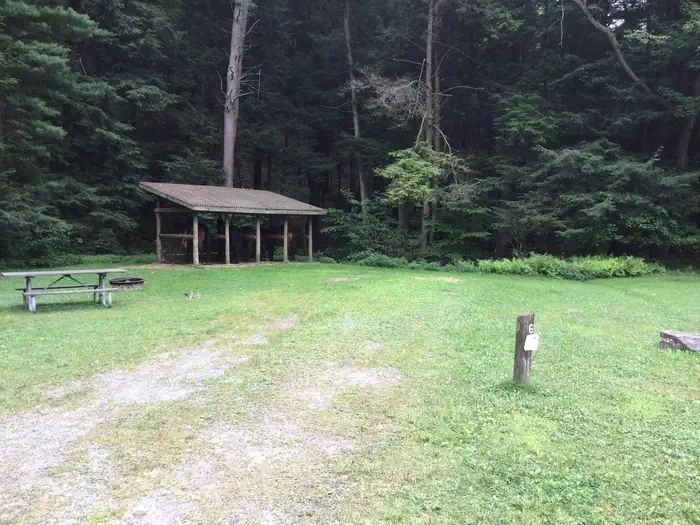 KELLY PINES CAMPGROUND photo 3