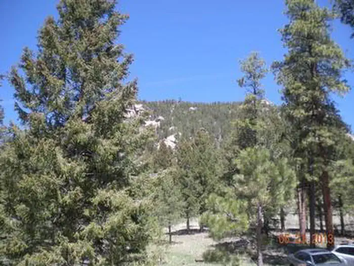 KELSEY CAMPGROUND photo 3
