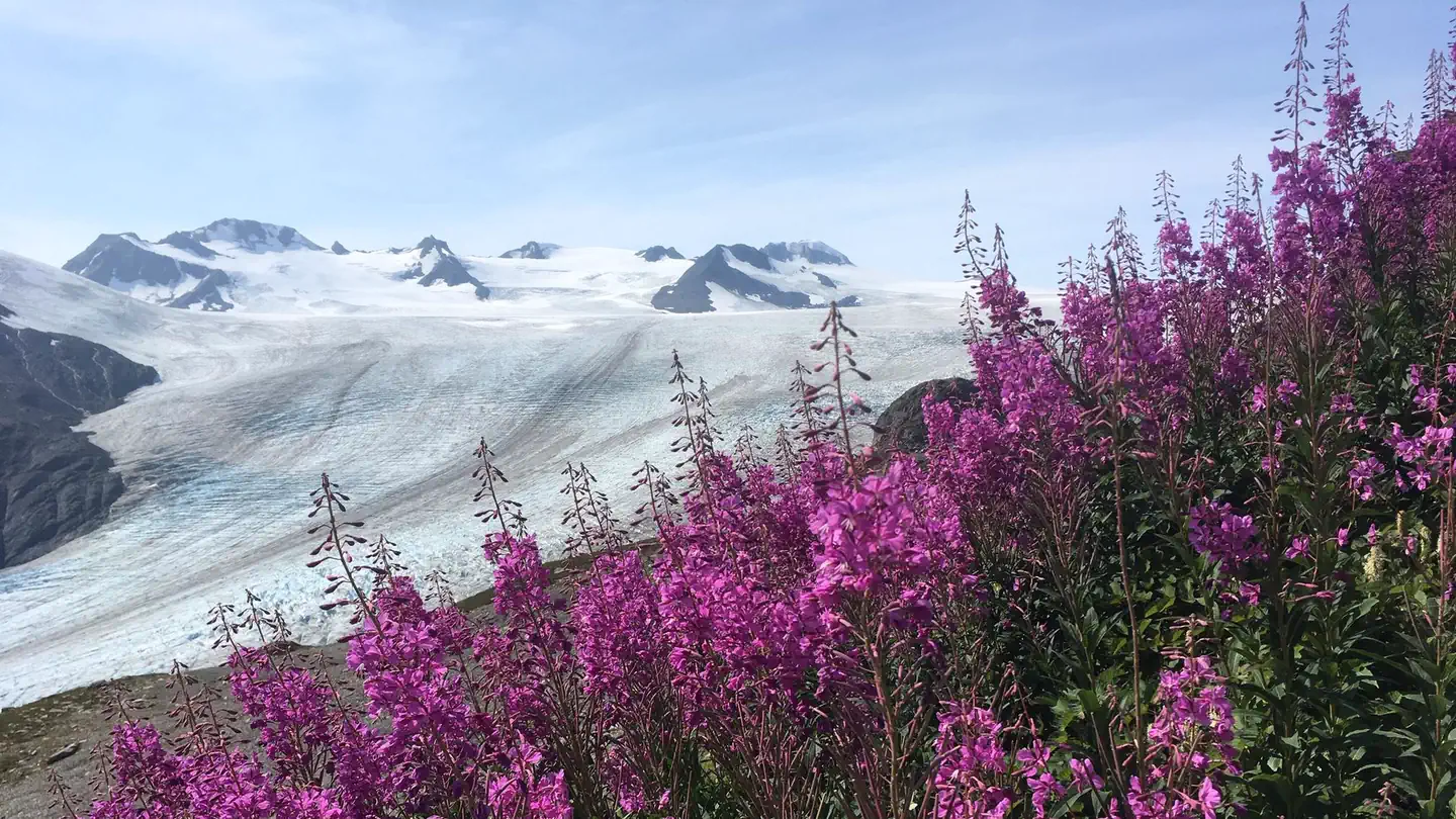 Kenai Fjords National Park Cabins photo