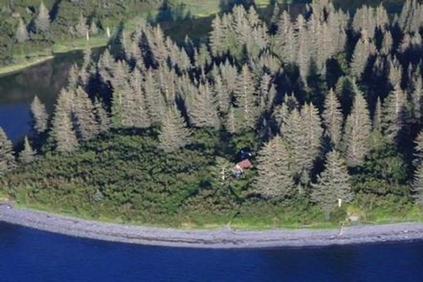Kenai Fjords National Park Cabins photo 5