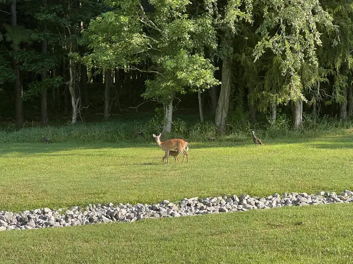 KENDALL CAMPGROUND photo