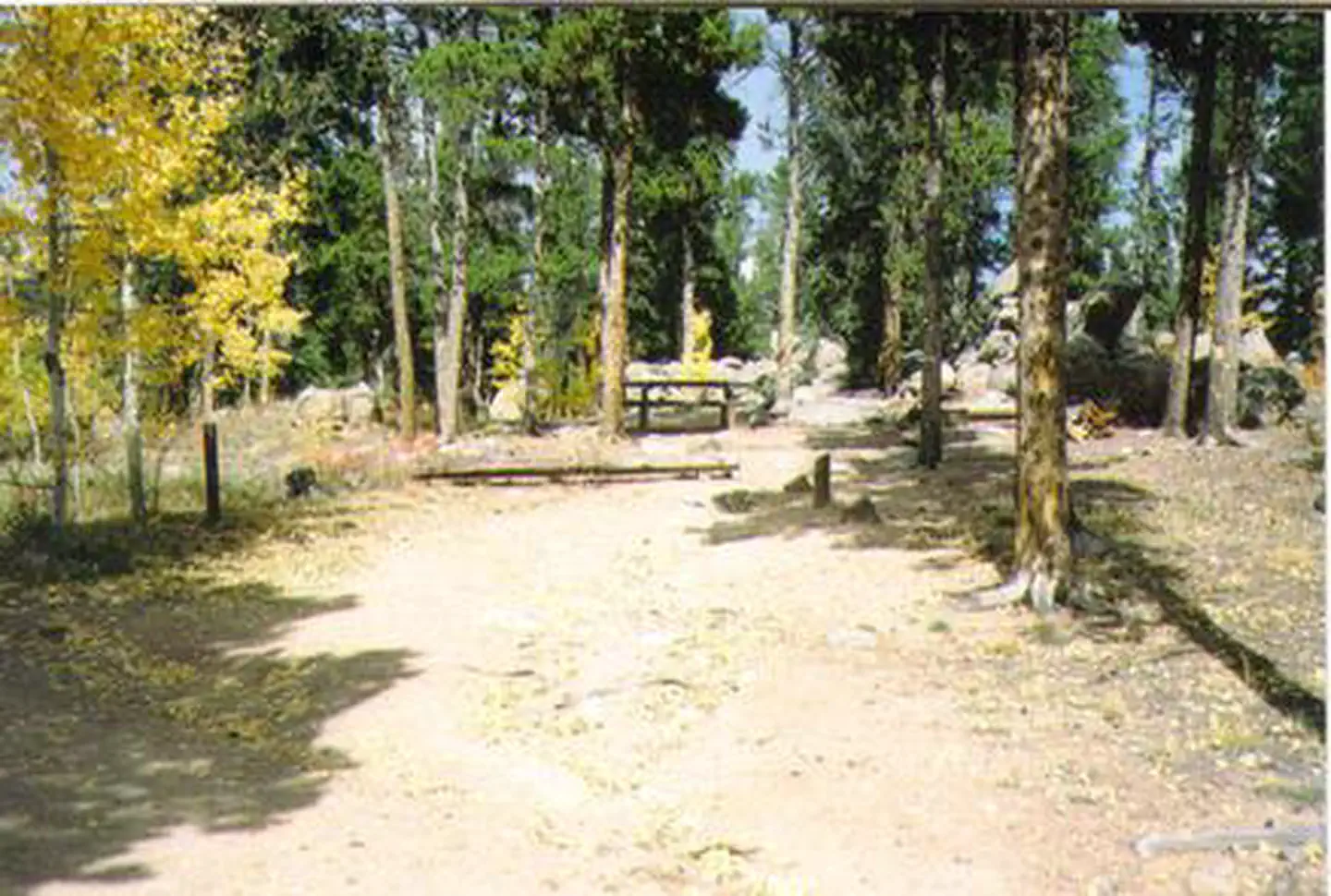 KENOSHA PASS CAMPGROUND photo 2