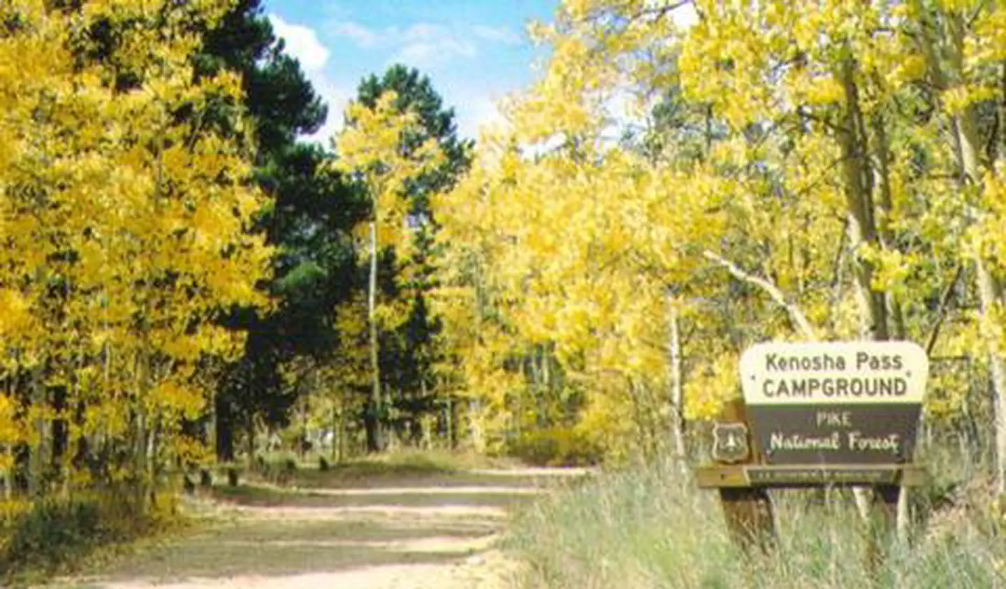 KENOSHA PASS CAMPGROUND photo 3