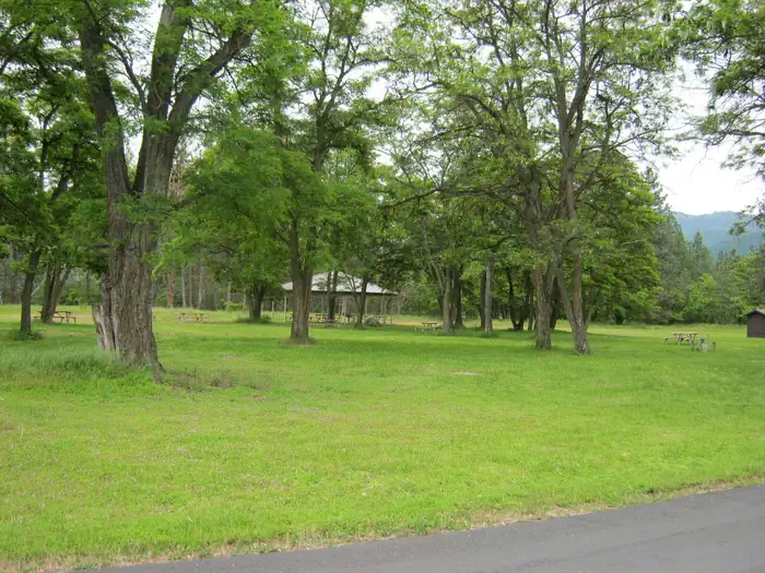 KETTLE FALLS LOCUST GROVE GROUP SITE photo 4