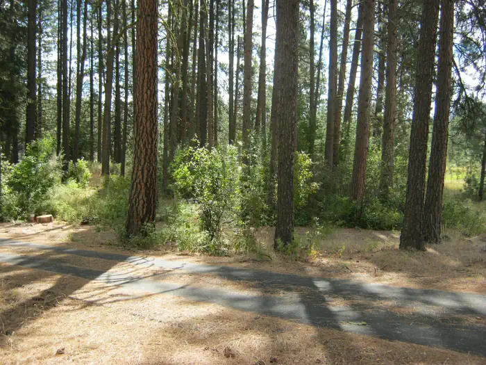 Kettle River Campground photo 5