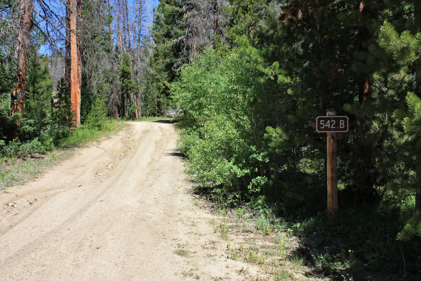 KEYSTONE RANGER STATION photo 3
