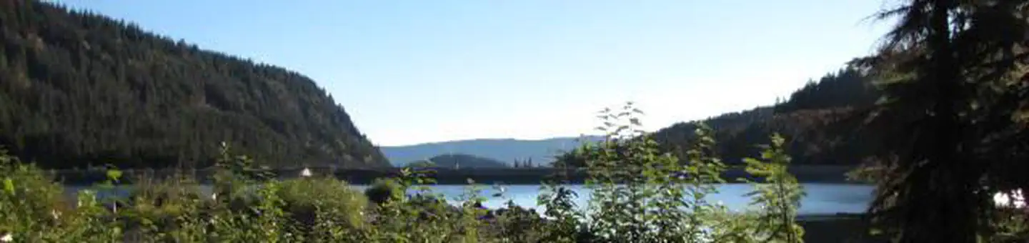 Kinnikinnick (Laurance Lake) Campground photo