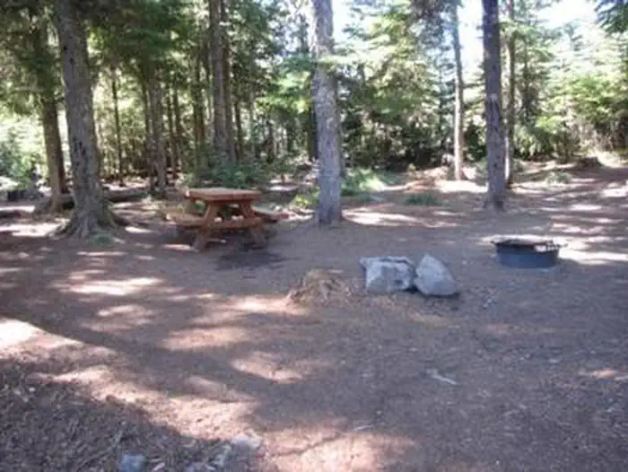 Kinnikinnick (Laurance Lake) Campground photo 5