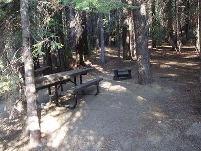 KINNIKINNICK photo 3