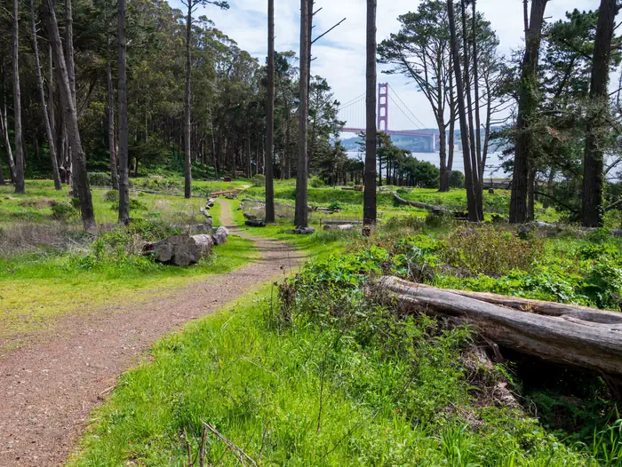 KIRBY COVE CAMPGROUND photo 3