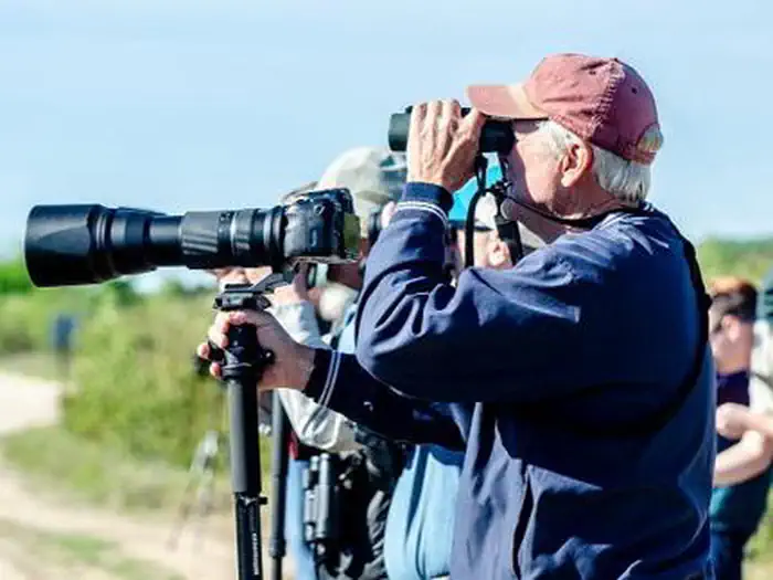 Kirtland's Warbler Guided Tours photo 3