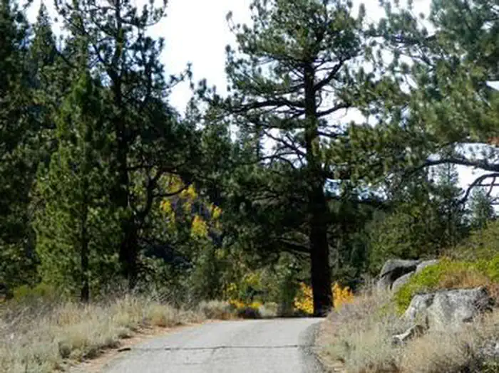 KIT CARSON CAMPGROUND photo 2