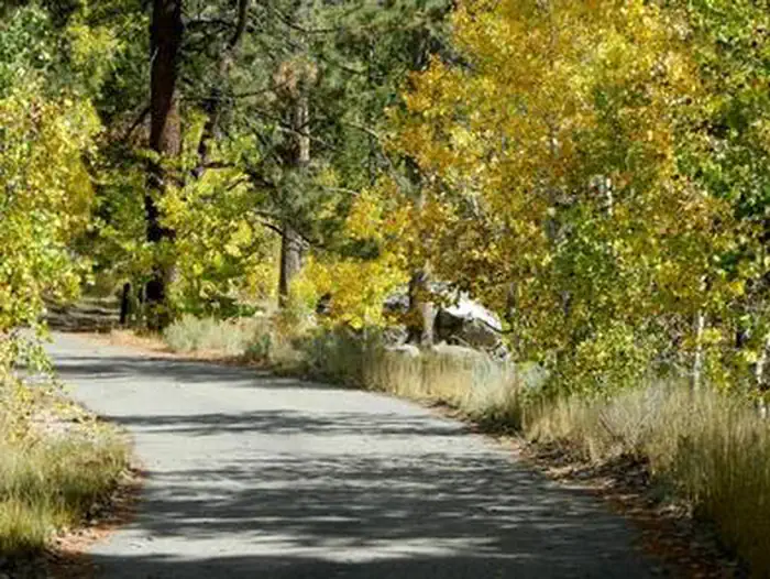 KIT CARSON CAMPGROUND photo 3