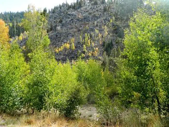 KIT CARSON CAMPGROUND photo 5