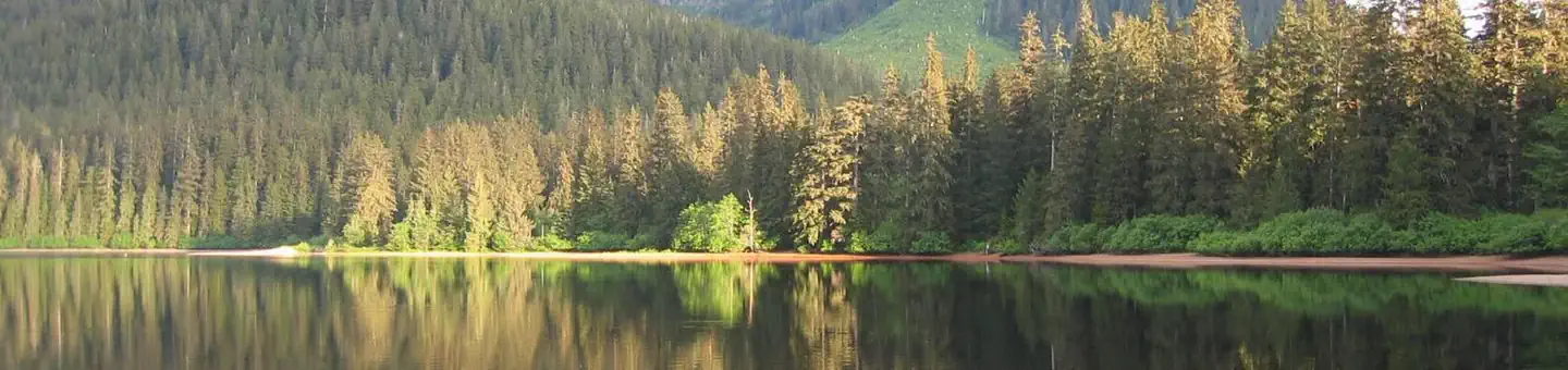 KOOK LAKE CABIN photo