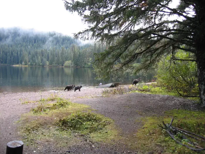 KOOK LAKE CABIN photo 4