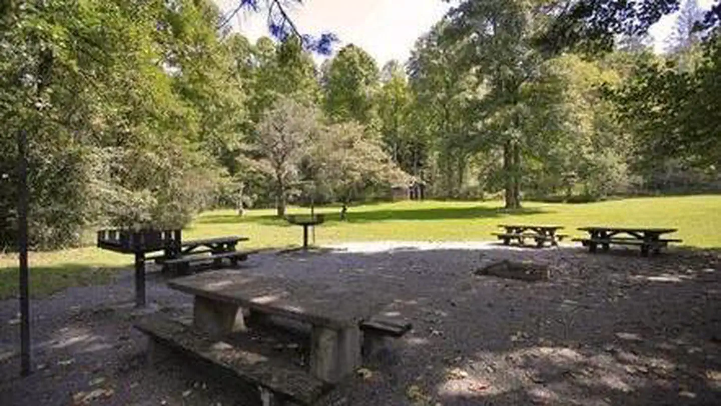 KUYKENDALL GROUP CAMP photo