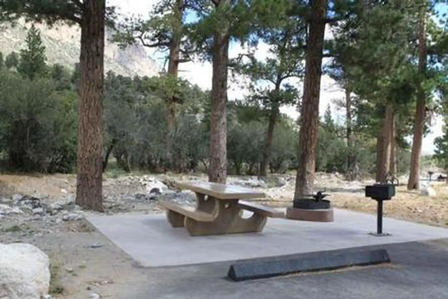 KYLE CANYON PICNIC AREA DAY USE photo 4