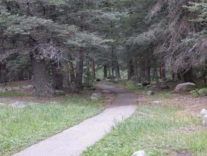 LA VISTA CAMPGROUND - LAKE ISABEL photo 4