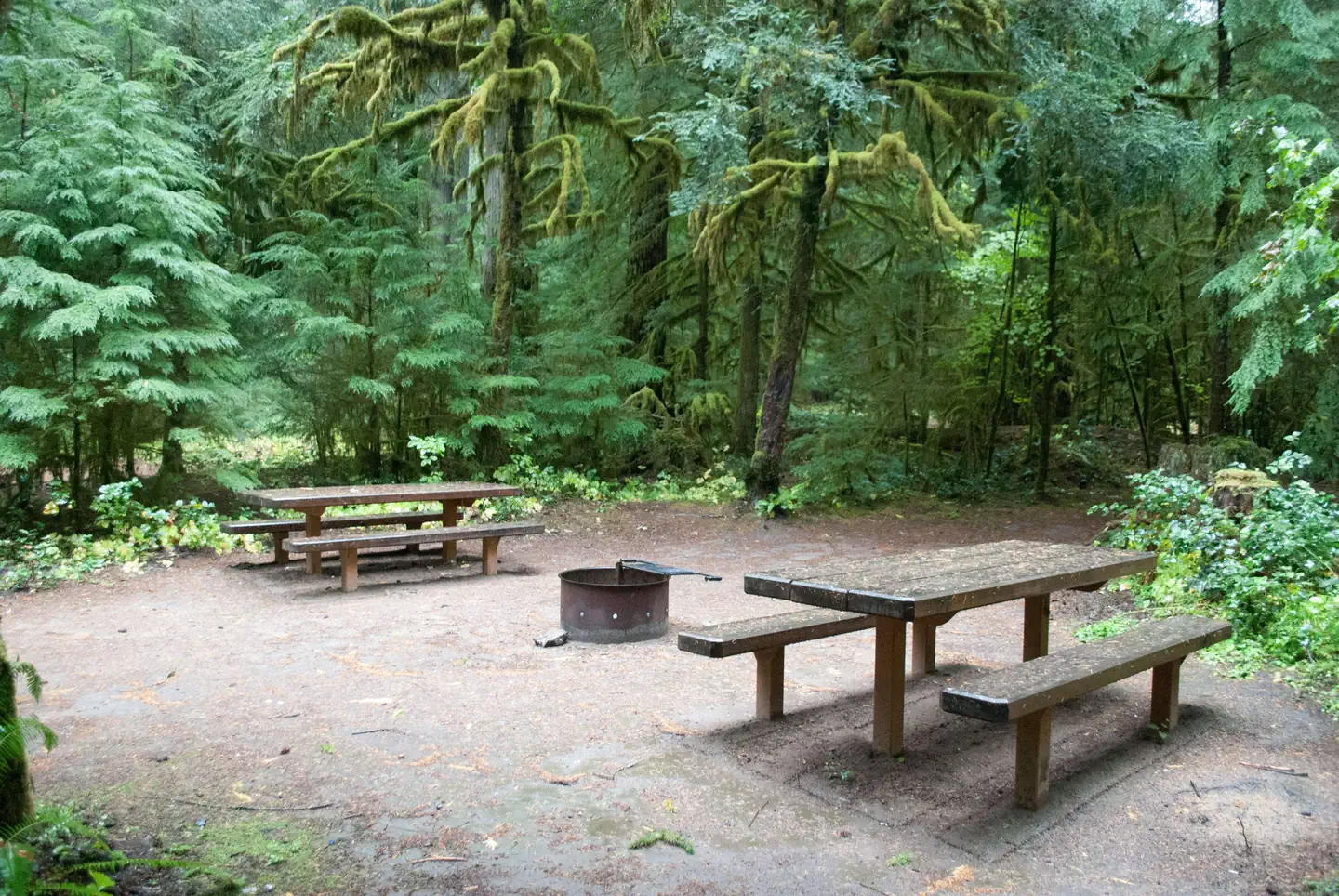 La Wis Wis Campground photo 3
