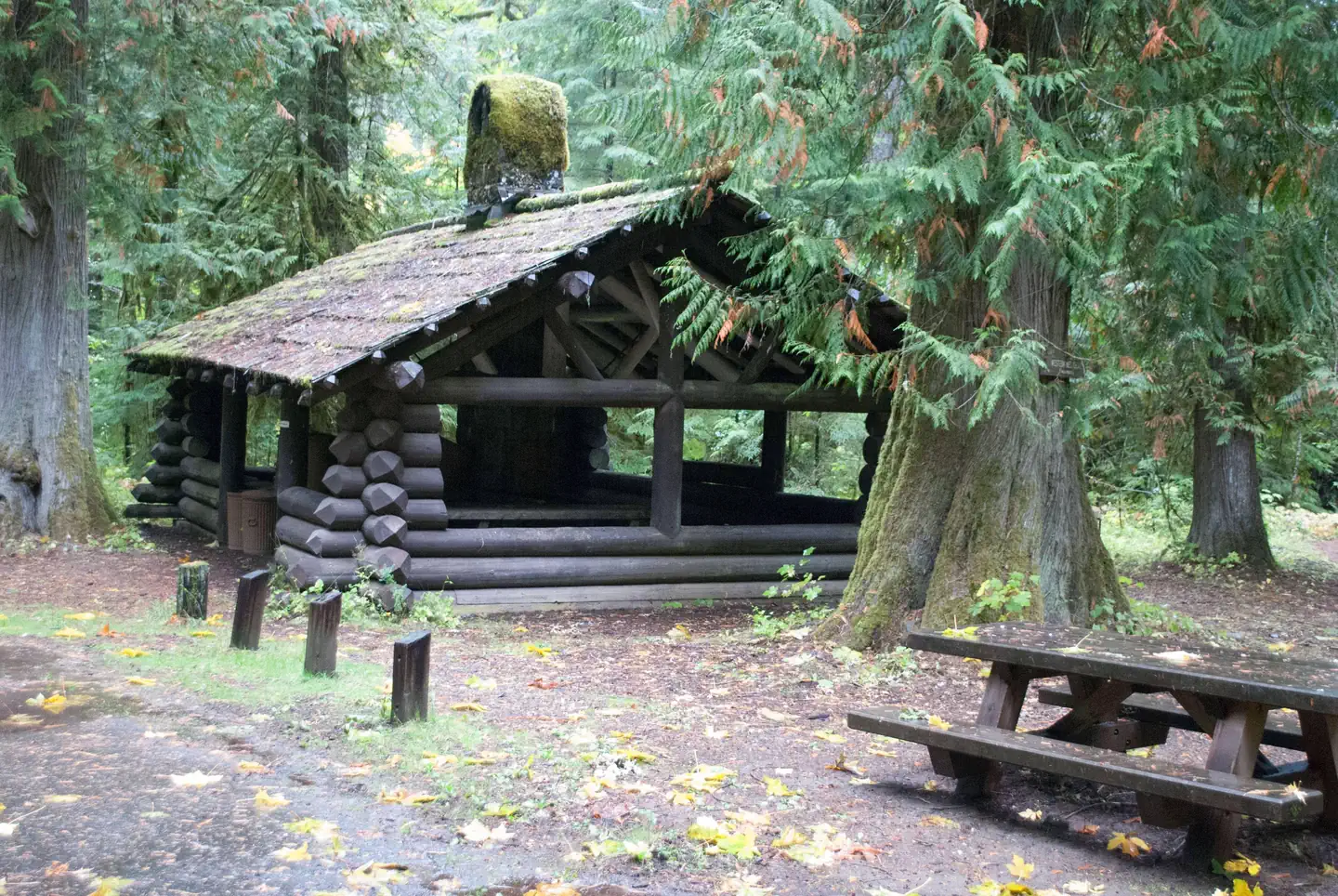 La Wis Wis Campground photo 4