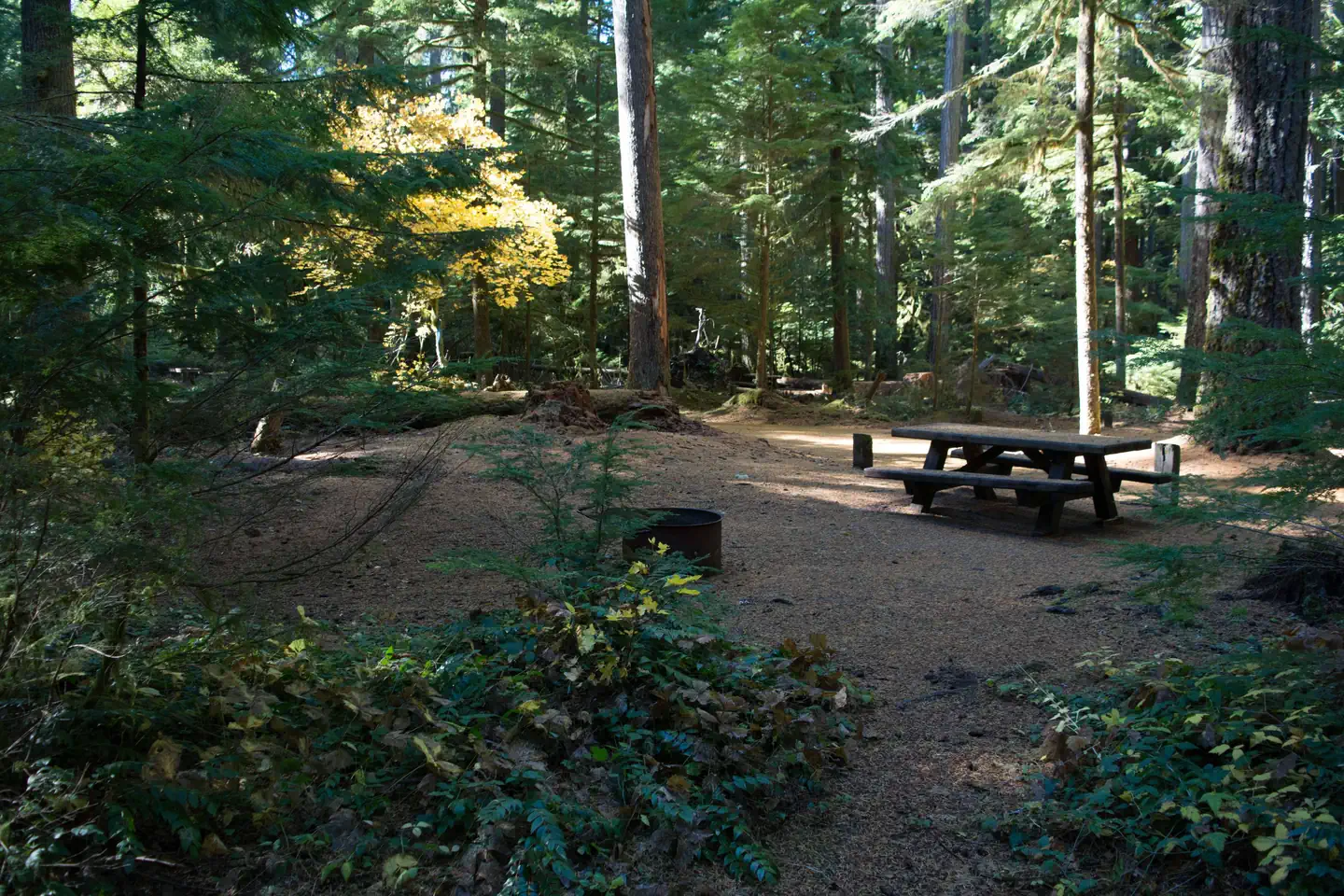 La Wis Wis Campground photo 5