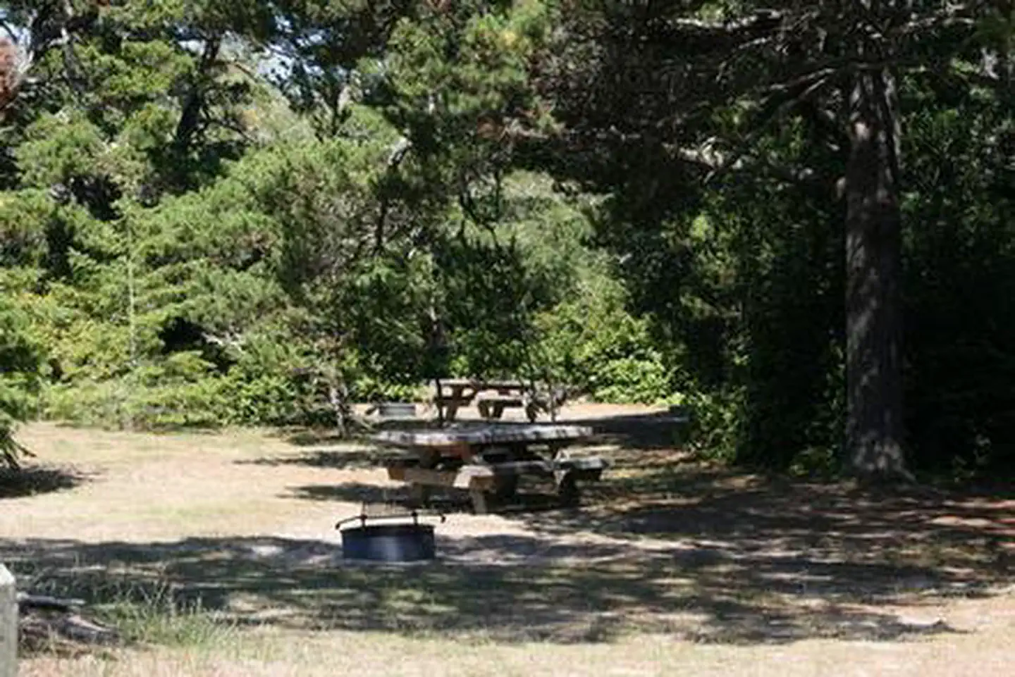 LAGOON CAMPGROUND photo 4