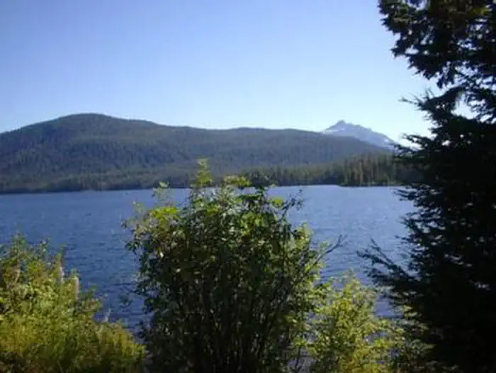 LAKE ALEXANDER CABIN photo 3