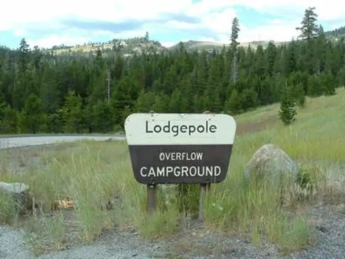 (Lake Alpine) Lodgepole Campground photo 2