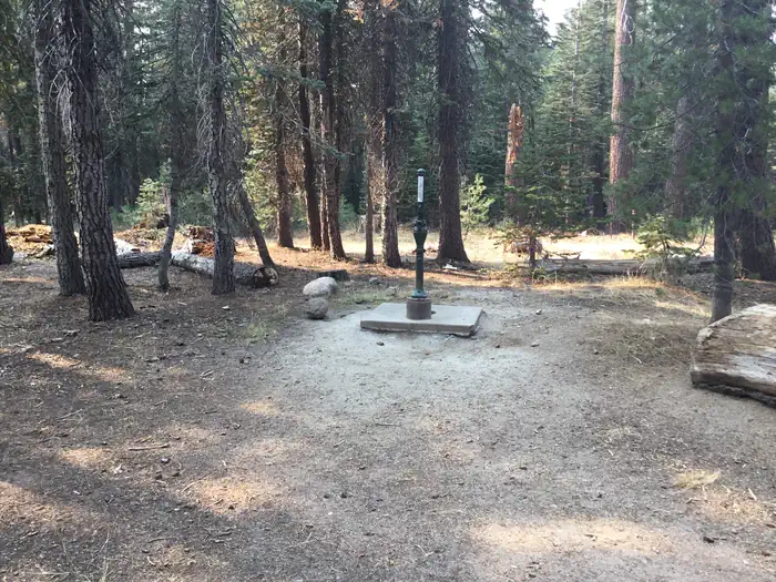 (Lake Alpine) Lodgepole Campground photo 3